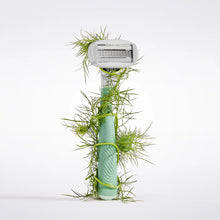 Flamingo Razor in the color sage, wrapped in decorative green fennel fronds