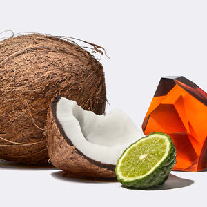 The shave oil's scent notes of coconut, bergamot and amber on a white background.
