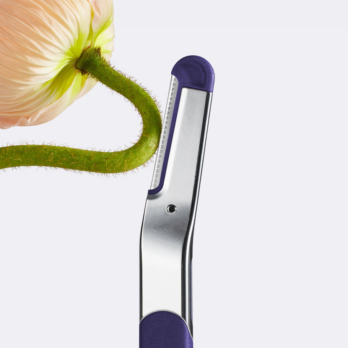 Flamingo Refillable Dermaplane Razor held against the stem of a ranunculus flower which has peach-fuzz like texture