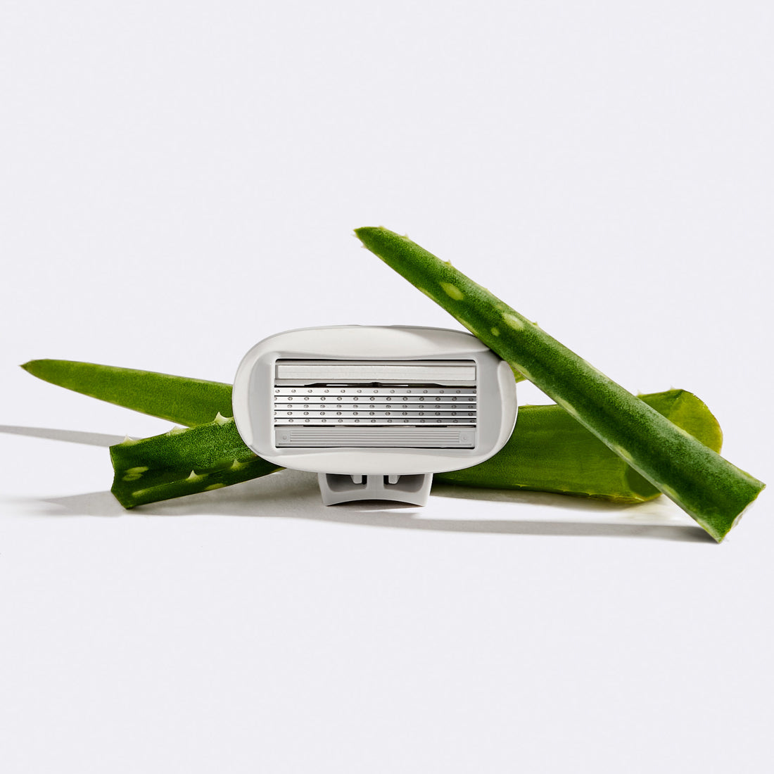 Flamingo Blade cartridge surrounded by aloe leaves, one of the key ingredients in the 360 comfort system that surrounds the blades