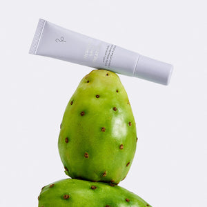 Flamingo Ingrown Spot Treatment balanced atop two green prickly pears