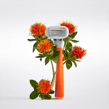 Flamingo Razor in the color Papaya surrounded by bright orange flowers
