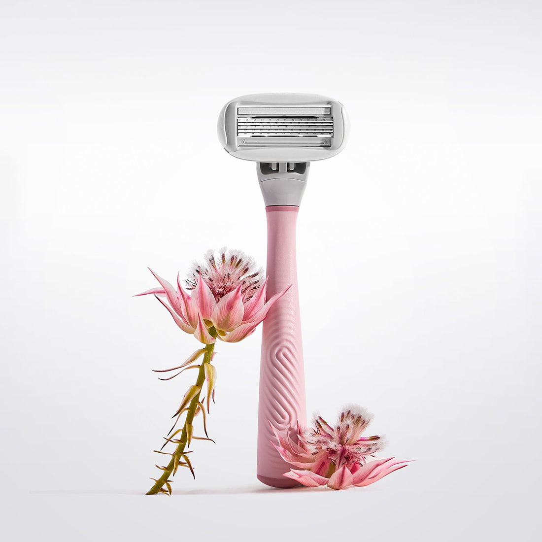 Flamingo Razor in the color Rose pictured with two pink flowers