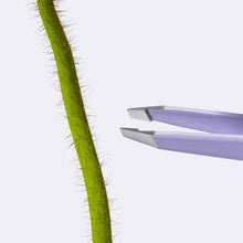 Close up of Flamingo lilac Tweezers reaching towards a flower stem with fine, peach-fuzz looking texture